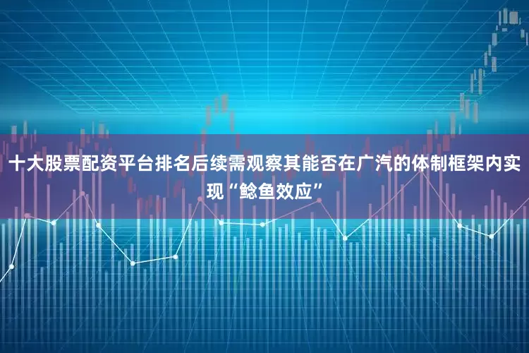 十大股票配资平台排名后续需观察其能否在广汽的体制框架内实现“鲶鱼效应”