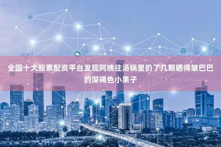 全国十大股票配资平台发现阿姨往汤锅里扔了几颗晒得皱巴巴的深褐色小果子